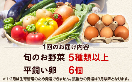 【全3回定期便】 米ぬかで育てた！旬のお野菜＆平飼い卵セット ベジ彩ファーム[AOEJ005] 野菜