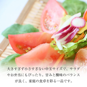 トマト 中玉 1.5kg 野菜 やさい トマト トマト トマト トマト