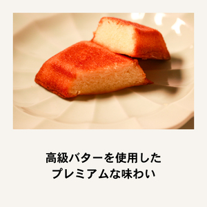 【極バター】贅沢フィナンシェ10個入り フィナンシェ