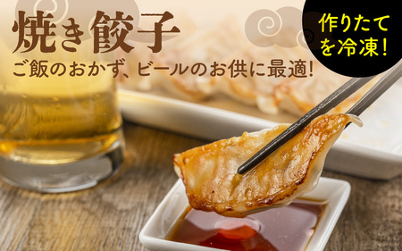 【本格手作り】冷凍 餃子セット （10個入り × 5袋 計 50個） | 点心 ギョーザ