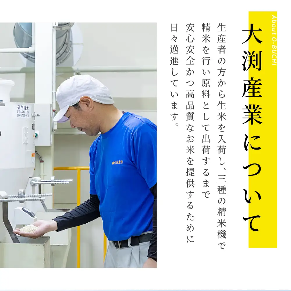 《令和7年産》くまさんの輝き 5kg×2袋 合計10kg  熊本県 八代市産 米 お米 精米 白米 国産