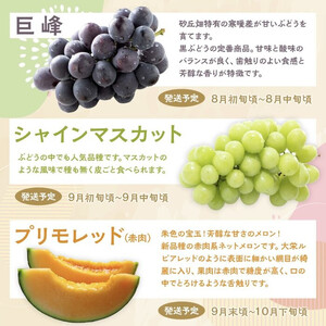 1015.【先行予約 2026年8月以降発送】 鳥取県北栄町から旬の美味しさをお届け！特産づくし【5回定期便】