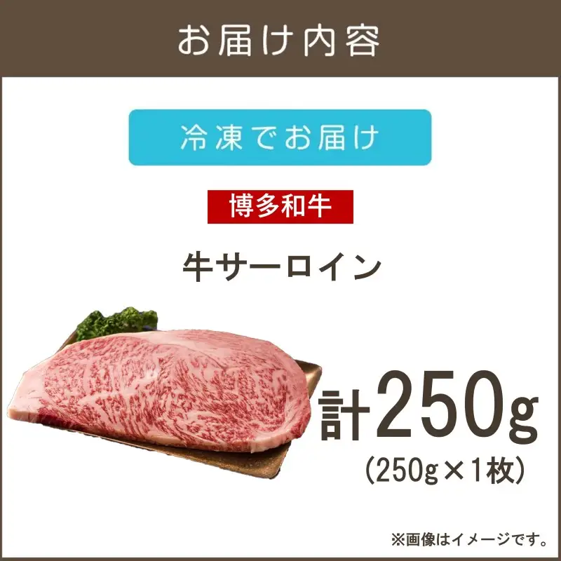 【A4-A5ランク】博多和牛サーロインステーキ 250g【A3-081】