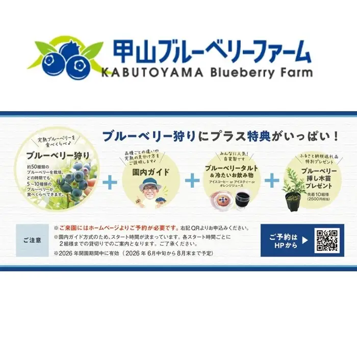 甲山ブルーベリーファーム ブルーベリー狩り入園券（大人1名）