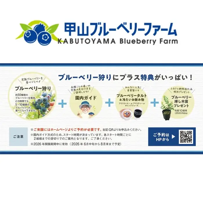甲山ブルーベリーファーム ブルーベリー狩り入園券（大人2名ペア入園）