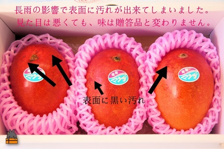≪先行予約≫【家庭用】徳之島センチュリー果樹園さんの完熟マンゴー1kg（2～3玉）( マンゴー フルーツ わけあり 訳あり 訳有 果物 完熟 無加温 徳之島 世界自然遺産 美味しい とろける 旬 贅沢 糖度 南の島 )