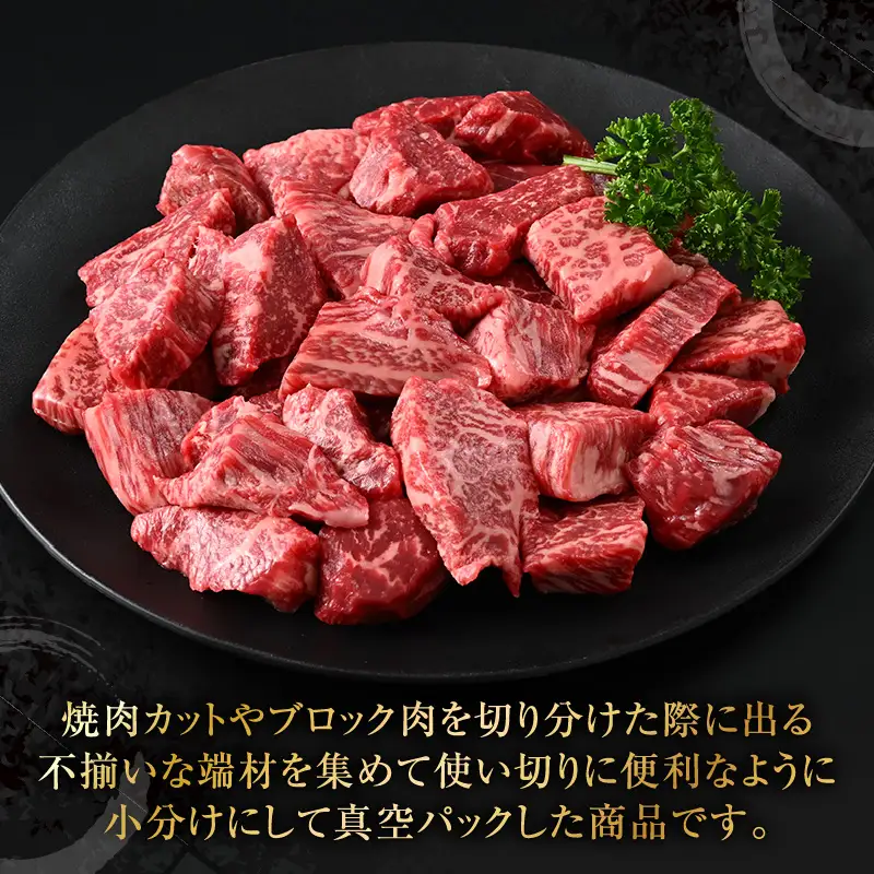 【訳あり】 若狭牛 赤身肉 500g（250g×2個）／ 焼肉 国産 ブランド牛 [aw009-a005]