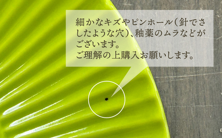 【波佐見焼】 【訳あり】しのぎ 若草 特大皿 プレート【一龍陶苑】[CC94]