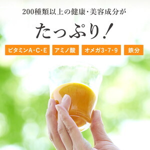 【定期便9カ月】サジー グアマラルサジー 1000ml　毎月1本9カ月コース｜サジージュース サジー シーベリー 沙棘 グアマラル 健康ドリンク 健康 美容 栄養 果汁 鉄分補給 栄養補給 健康食品 _DX28