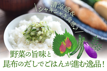 【6か月定期便】マルハチ 山形のだし 110g×12パック 漬物 夏野菜 シャキシャキ食感 お手軽 簡単 ご飯のお供 おかず 山形名物 郷土料理 家庭料理 ご当地 定期【7月中旬発送/入金期限：2026年6月25日】