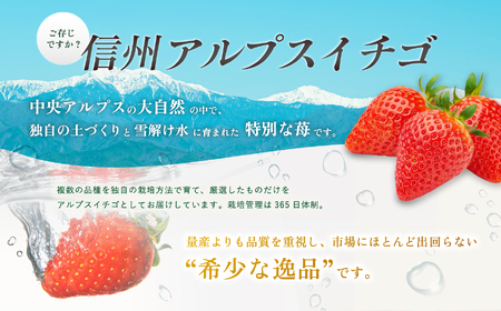 南信州産 冷凍 アルプス イチゴ 235g ～ 255g × 4袋 | 長野県 飯田市