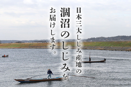 涸沼産 冷凍しじみ 大粒 1kg（100g×10p）【石岡市・水戸市共通返礼品】 しじみ シジミ 蜆 国産 小分け 砂抜き不要 冷凍 冷凍保存 海鮮 貝 魚貝類 魚介類 魚貝 魚介 味噌汁 みそ汁 酒蒸し おつまみ しじみ汁 C10-002