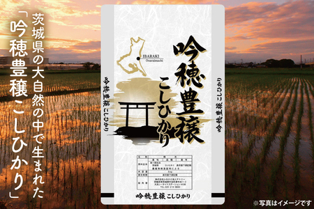 ＜令和7年産＞吟穂豊穣こしひかり 5kg 精米 米 茨城県産_EG007