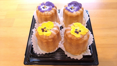サントピアワールド の カヌレシュー4個セット（カスタード2個・チョコレート2個）遊園地 新潟県産米粉100％使用 カヌレ シュークリーム グルテンフリー  冷凍 スイーツ デザート 新潟県 阿賀野市 2S06007