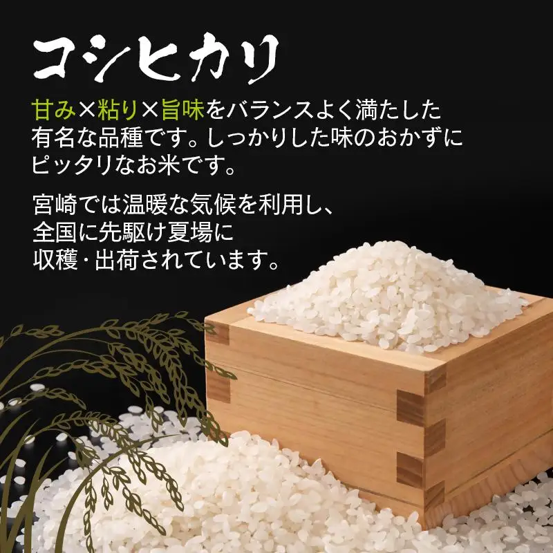 【先行予約】令和8年産米こしひかり 『この華米』5kg＜14-18a＞