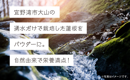 琉球蓮根パウダー(50g) 2個セット [ 国産 沖縄県産 100% 自然栽培 無添加 ] 100g | 【令和５年度 宜野湾市特産品推奨認定】NATURAL TONE | 蓮根 れんこん レンコン パウダー 粉末 | 粉野菜 野菜パウダー 野菜粉末 蓮根粉 | 蓮根パワー スーパーフード | 食物繊維 簡単 習慣 健康維持 健康サポート | 沖縄県 宜野湾市 送料無料