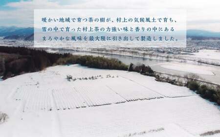 村上茶　雪国緑茶ペットボトル24本入り 1005005