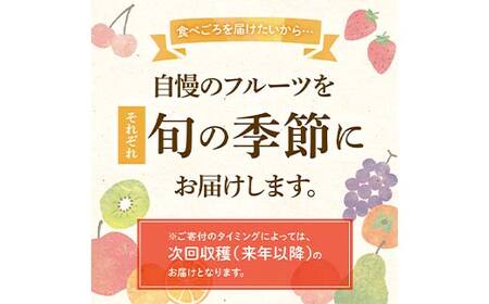 【先行予約】《2026年10月～2027年1月頃お届け》 さぬきゴールド 鮮やか黄金に輝く ゴールドキウイ 約900g 香川県産 大粒キウイ キウイフルーツ ゴールデンキウイ フルーツ 果物 くだもの 旬のフルーツ 旬の果物 香川 香川県共通返礼品 F5J-1022