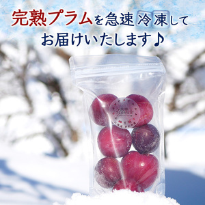 冷凍プラム 500g × 2パック 1kg 冷凍 プラム 果物 くだもの フルーツ 旬の果物 旬のフルーツ 大橋さくらんぼ園 果物類 フルーツ デザート 完熟 急速冷凍 新鮮 美味しい 人気 冷凍配送 北海道 芦別市