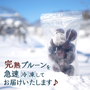 冷凍プルーン 500g 冷凍 プルーン 果物 くだもの フルーツ 旬の果物 旬のフルーツ 大橋さくらんぼ園 果物類 フルーツ デザート 完熟 急速冷凍 新鮮 美味しい 人気 冷凍配送 北海道 芦別市