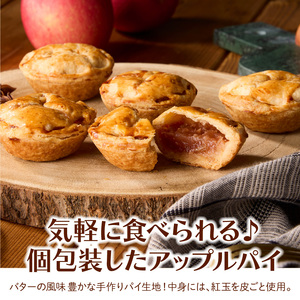 スウィーツデリバリー「お一人様用アップルパイ」 5個入り［185S08］