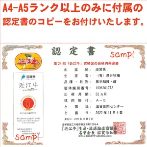 近江牛A4A5ランク ウデ肉スライス500g ハラルビーフ [1171]