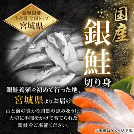 訳あり　銀鮭　宮城県産　甘塩　切身　約1.5kg　国産/三陸　女川町【配送不可地域：離島】【1525306】