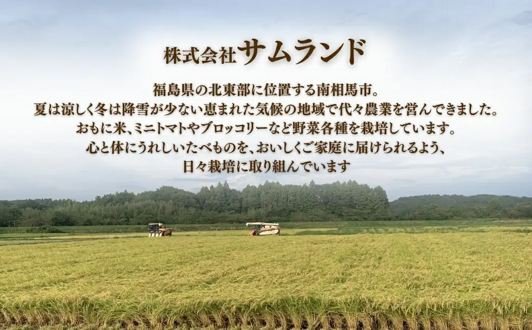ミルキークイーン 白米5kg 令和7年産｜もちもち 南相馬 お取り寄せ