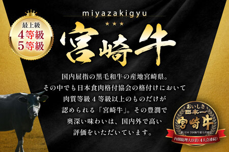 牛肉 宮崎牛 牛すじ 1kg [ローカルブランディング 宮崎県 日向市 452061404]