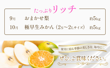 旬の フルーツ 定期便 2ヶ月連続 秀品 計10kg 日本フルーツ株式会社《2026年9月上旬-10月末頃出荷》熊本県 長洲町 おまかせ 梨 極早生みかん 果物 フルーツ スイーツ デザート ギフト ご贈答