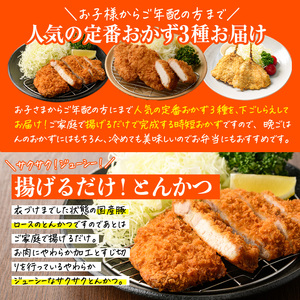 時短おかず・大人気フライ3種セット (お試しサイズ) あじフライ とんかつ チキンカツ フライ セット 冷凍 惣菜 お弁当 簡単 時短 お試し 【DH303】【ネクサ】