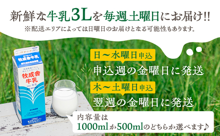 毎週定期便 4回  500ml 牛乳定期便 4回定期便 牧成舎のこだわり牛乳 定期便 