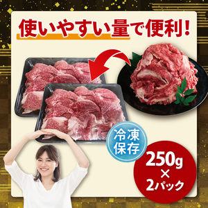 【茨城県共通返礼品】常陸牛切り落とし 500g【使いやすい 小分け 250g×2 銘柄牛 牛肉 冷凍 たんぱく質 ビタミン 茨城県産】(81-15)
