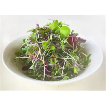 マイクログリーンズ(サラダミックス:6～8種の野菜200g詰め)【配送不可地域：離島】【1640643】