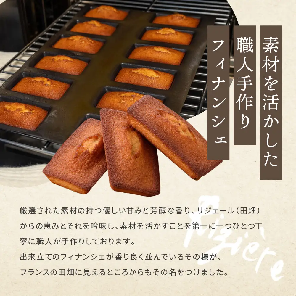 【リジェール】専門店のフィナンシェ ナチュール(プレーン)10個