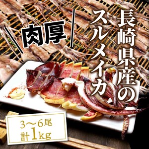 サイズは不揃いでも味は絶品!肉厚するめ烏賊一夜干し_1511R