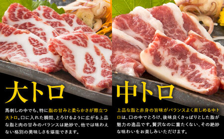 大トロ 中トロ 馬刺し 各300g 食べ比べ 計600g (専用醤油付き150ml×1本) 桜屋 《30日以内に出荷予定(土日祝除く)》熊本県 葦北郡 津奈木町 送料無料 肉 馬肉 馬さし