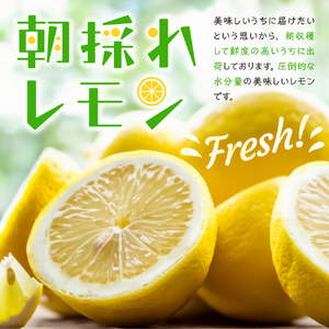 【2026年6月～発送】大崎下島産 栽培期間中農薬不使用 瀬戸内レモン 10kg【クール便】 ku044-024-25