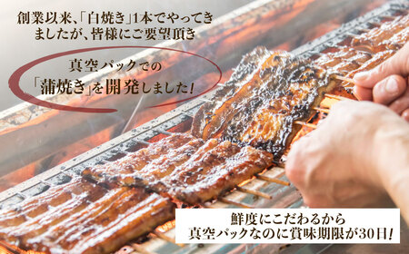 戸村川魚店の国産うなぎ 真空かば焼き2尾 セット /  うなぎ 国産うなぎ 鰻 国産鰻 ウナギ 国産ウナギ 白焼 白焼き 蒲焼き 蒲焼 TMR005