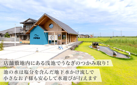 戸村川魚店の国産うなぎのつかみ取り体験チケット /  うなぎ 国産うなぎ 鰻 国産鰻 ウナギ 国産ウナギ つかみ取り 体験 チケット うなぎのつかみ取り TMR006