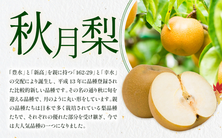 【2026年先行予約】梨 秀品 秋月梨 約5kg（6～16玉） 日本フルーツ《9月上旬-9月末頃出荷》熊本県 長洲町 なし 梨 果物 フルーツ デザート ギフト ご贈答
