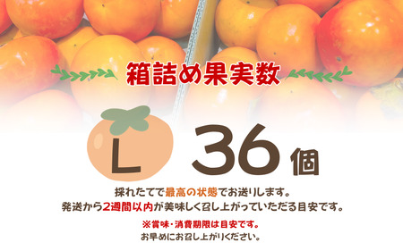 柿 採れたてタネなし柿“Lサイズ”約7.5kg【2026年10月中旬～10月下旬頃発送予定】【ART17】【G016-art001A】