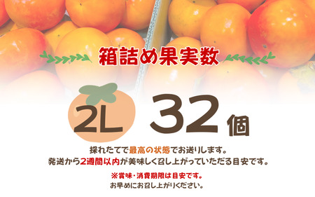柿 採れたてタネなし柿“2L”サイズ約7.5kg【2026年10月中旬～10月下旬頃発送予定】【ART18】【G017-art020A】