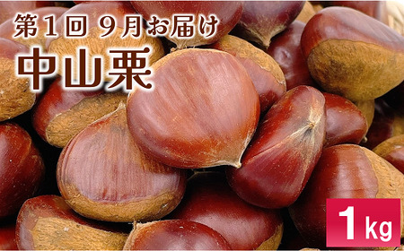 【2026年先行予約】伊予市旬彩定期便 全3回 中山栗 紅まどんな 伊予柑 愛媛県 伊予市｜D48