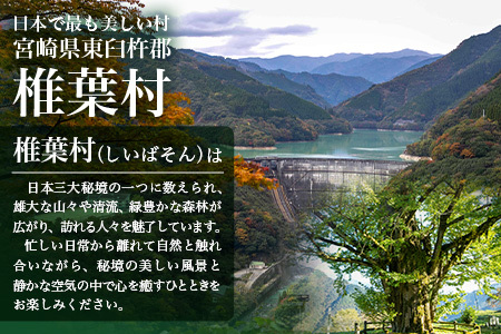 椎葉村共通宿泊割引券　3,000円分