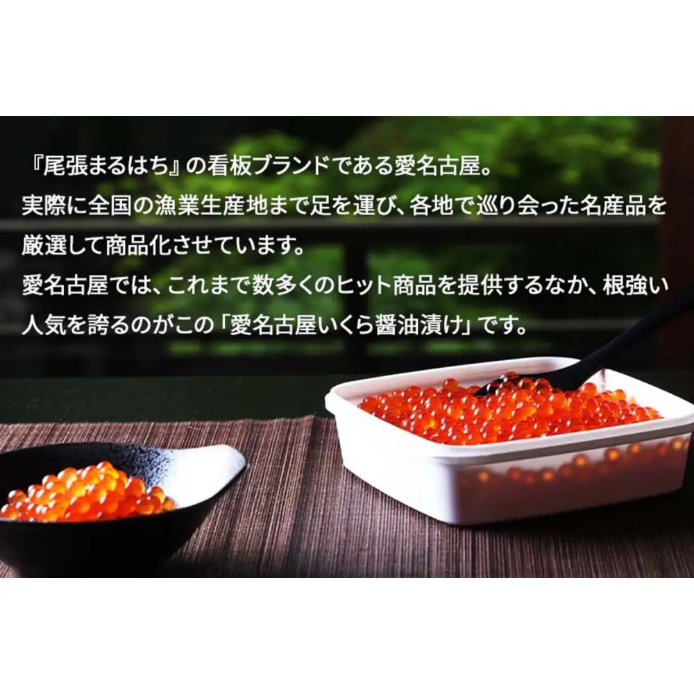 いくら 醤油漬け 500g(250g×2P) 北海道 小分け  鮭の卵 化粧箱入 愛名古屋