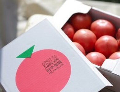 AP2　田中農園自慢のトマト4kg【 トマト とまと 農園 野菜 産地直送 新鮮 】