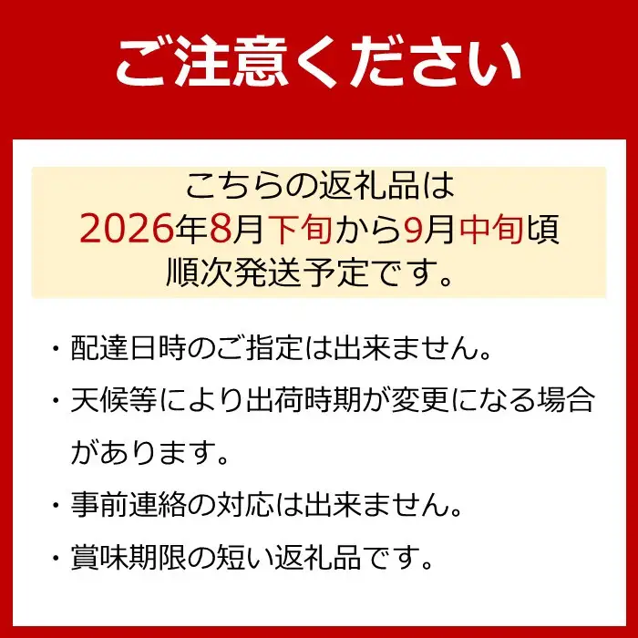 ［先行予約］巨峰 約2kg［朝採り］［葡萄・ぶどう］［種なしブドウ］［フルーツ・果物］［2026年8月下旬頃から順次発送］