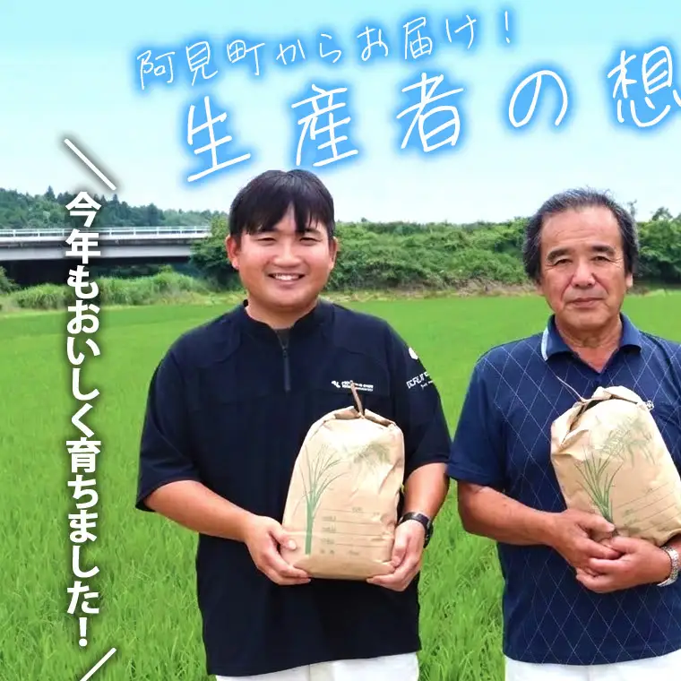 米 あきたこまち 精米 10kg 令和7年産 茨城県産 お米 こめ コメ ごはん 白米 アキタコマチ 茨城県産米 単一米 単一原料米 安心 安全 送料無料 国産 人気 数量限定 高評価（85-30）
