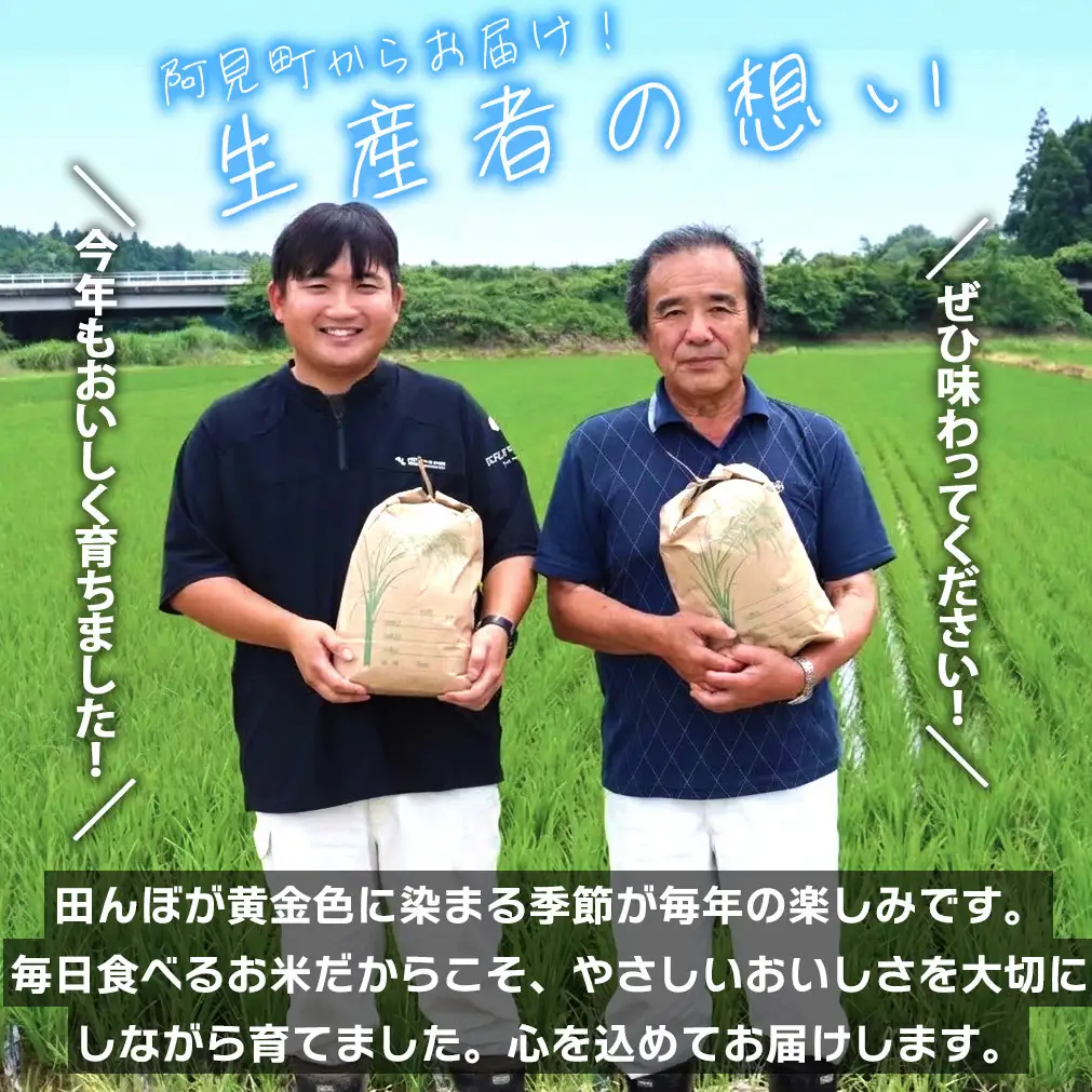 米 定期便 3ヶ月 コシヒカリ 精米 10kg 令和7年産 茨城県産 お米 こめ コメ ごはん 白米 こしひかり 茨城県産米 単一米 単一原料米 安心 安全 送料無料 国産 人気 数量限定 高評価（85-24）